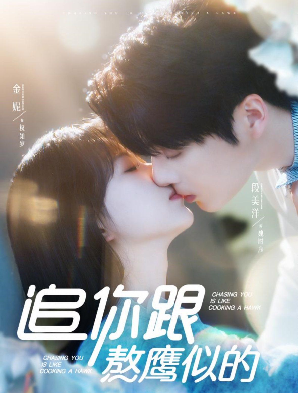 追你跟熬鹰似的第1-20集