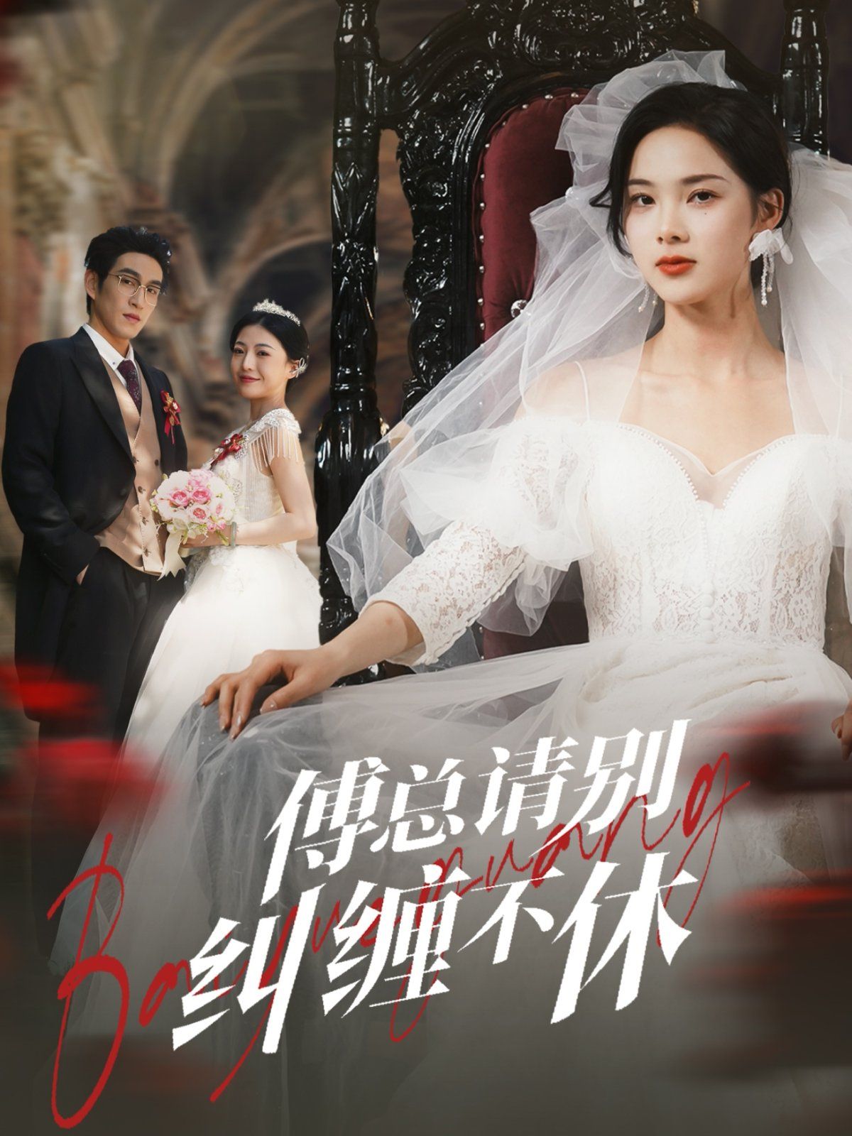 傅总请别纠缠不休第1-20集