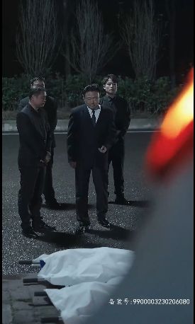 反败为胜(全集)