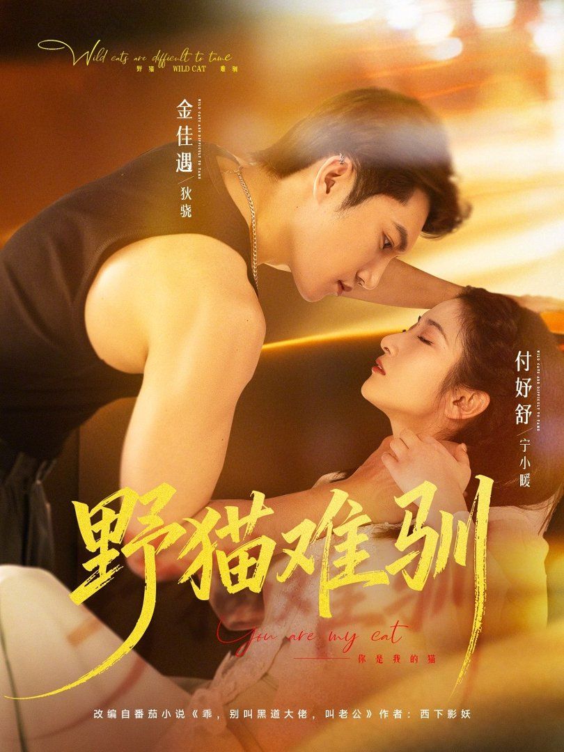 野猫难驯(全集)