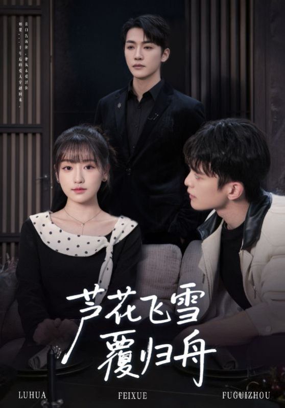 芦花飞雪覆归舟(全集)