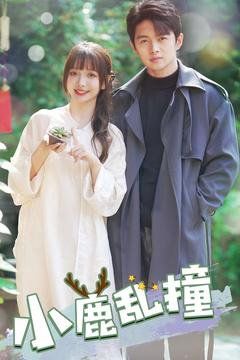 小鹿乱撞第1-20集