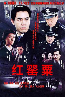 红罂粟第22集