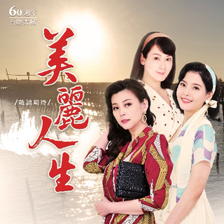 美丽人生台版第41集