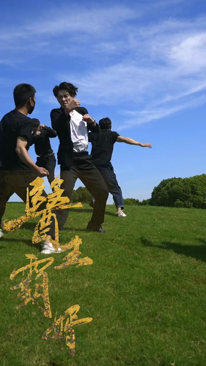 医王霸婿(全集)